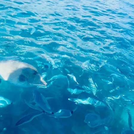 Апартаменты Fonny Vacation Ever Вилласимиус