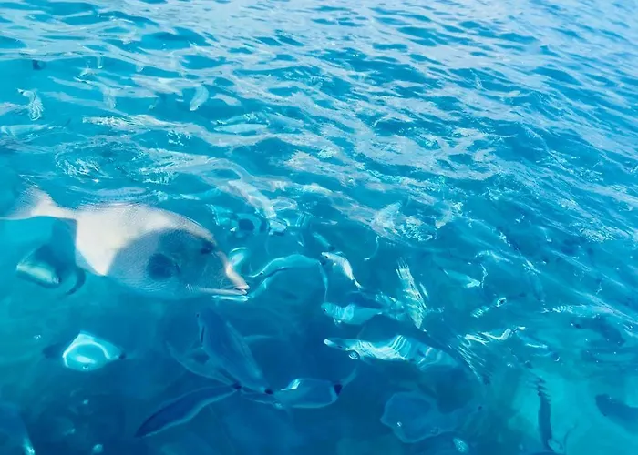 Апартаменты Fonny Vacation Ever Вилласимиус